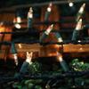 LAMPHOME Warm White Christmas String Lights 300 Count 63.8ft (2 Pack of 150L), Incandescent Mini Lights, Waterproof Outdoor Indoor Clear Christmas Lights for Xmas Tree Garland Holiday Decor view 2