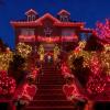 LAMPHOME Red Valentine's Lights, 300 Lights 63.8ft(2pk of 150L) Incandescent Mini Christmas String Lights, Waterproof Red Lights for Indoor Valentine's Day Garland Birthday Wedding Party Xmas Tree view 4