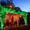 LAMPHOME St. Patrick's Day Mini String Lights,Green st Patricks Day Tree Decorations,300Lights 63.8ft(2pk of 150L) Christmas Light for Outdoor Christmas Tree Garden Holiday Party Patio Decor view 3