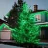 LAMPHOME St. Patrick's Day Mini String Lights,Green st Patricks Day Tree Decorations,300Lights 63.8ft(2pk of 150L) Christmas Light for Outdoor Christmas Tree Garden Holiday Party Patio Decor view 4