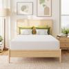MLILY Full Mattress in a Box, 10 inch Mattresses for Platform Bed Double Size Daybed Bunk, Green Tea Memory Foam Medium Firm view 1