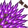 LAMPHOME Purple Christmas String Lights, 300 Mini Fairy Lights 63.8ft(2pk of 150L) Set, Brown Wire Halloween Holiday Dcor for Home, Christmas Tree, Bedroom, Patio, Wedding view 1