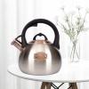 3.1 Quart Teal Whistling Tea Kettle for Stove Top, Food Grade Stainless Steel view 3
