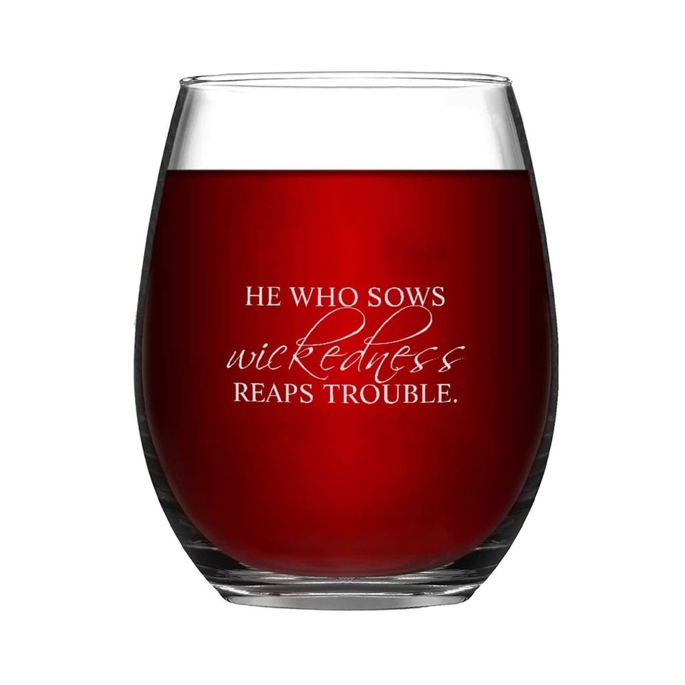 17 oz Stemless Wine Glasses, He Who Sows Wickedness Reaps Trouble Clear Drinking Glass, Funny Novelty Gift Idea for Party Kitchen Made in USA