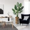 Artificial Tree in Contemporary Planter, Fake Bird of Paradise Silk Tree for Indoor and Outdoor Home Decoration - 67" Overall Tall (Plant Pot Plus Tree) view 1