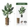 Artificial Tree in Contemporary Planter, Fake Bird of Paradise Silk Tree for Indoor and Outdoor Home Decoration - 67" Overall Tall (Plant Pot Plus Tree) view 3