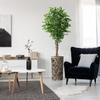 Artificial Tree in Contemporary Geometric Planter, Fake Ficus Silk Tree for Indoor and Outdoor Home Decoration - 75" Overall Tall (Plant Pot Plus Tree) view 1