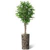 Artificial Tree in Contemporary Geometric Planter, Fake Ficus Silk Tree for Indoor and Outdoor Home Decoration - 75" Overall Tall (Plant Pot Plus Tree) view 2