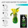 MODGY Expandable Flower Vase Plastic Decorative Modern Vases for Flowers Kitchen Window Decor Living Room Bathroom Office, W/Suction Cup, Louis C. Tiffany Green Lotus Pagoda, 7.5x4 view 4