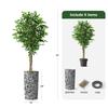 Artificial Tree in Contemporary Pattern Planter, Fake Ficus Silk Tree for Indoor and Outdoor Home Decoration - 75" Overall Tall (Plant Pot Plus Tree) view 3