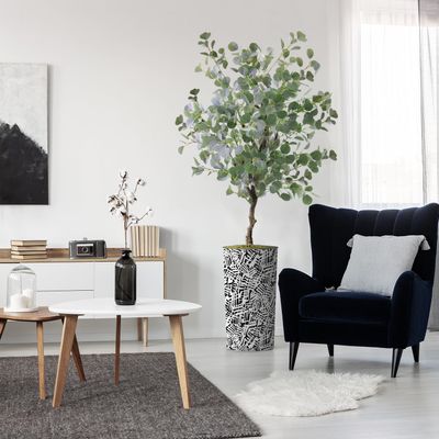 Artificial Tree in Contemporary Pattern Planter, Fake Eucalyptus Silk Tree for Indoor and Outdoor Home Decoration - 66" Overall Tall (Plant Pot Plus Tree)
