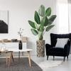 Artificial Tree in Contemporary Geometric Planter, Fake Bird of Paradise Silk Tree for Indoor and Outdoor Home Decoration - 67" Overall Tall (Plant Pot Plus Tree) view 1