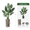 Artificial Tree in Contemporary Geometric Planter, Fake Bird of Paradise Silk Tree for Indoor and Outdoor Home Decoration - 67" Overall Tall (Plant Pot Plus Tree) view 3