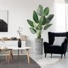 Artificial Tree in Contemporary Geometric Pattern Planter, Fake Bird of Paradise Silk Tree for Indoor and Outdoor Home Decoration - 67" Overall Tall (Plant Pot Plus Tree) view 1
