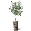 Artificial Tree in Contemporary Geometric Planter, Fake Eucalyptus Silk Tree for Indoor and Outdoor Home Decoration - 66" Overall Tall (Plant Pot Plus Tree) view 2