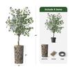 Artificial Tree in Contemporary Geometric Planter, Fake Eucalyptus Silk Tree for Indoor and Outdoor Home Decoration - 66" Overall Tall (Plant Pot Plus Tree) view 3