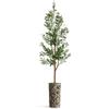 Artificial Tree in Contemporary Geometric Planter, Fake Olive Silk Tree for Indoor and Outdoor Home Decoration - 68" Overall Tall (Plant Pot Plus Tree) view 2