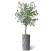 Artificial Tree in Contemporary Geometric Pattern Planter, Fake Eucalyptus Silk Tree for Indoor and Outdoor Home Decoration - 66" Overall Tall (Plant Pot Plus Tree) view 2