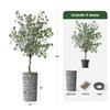 Artificial Tree in Contemporary Geometric Pattern Planter, Fake Eucalyptus Silk Tree for Indoor and Outdoor Home Decoration - 66" Overall Tall (Plant Pot Plus Tree) view 3