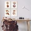 Stupell Industries Elegant Beach Seashells Exquisite Marine Life, Design by Annie Warren view 2