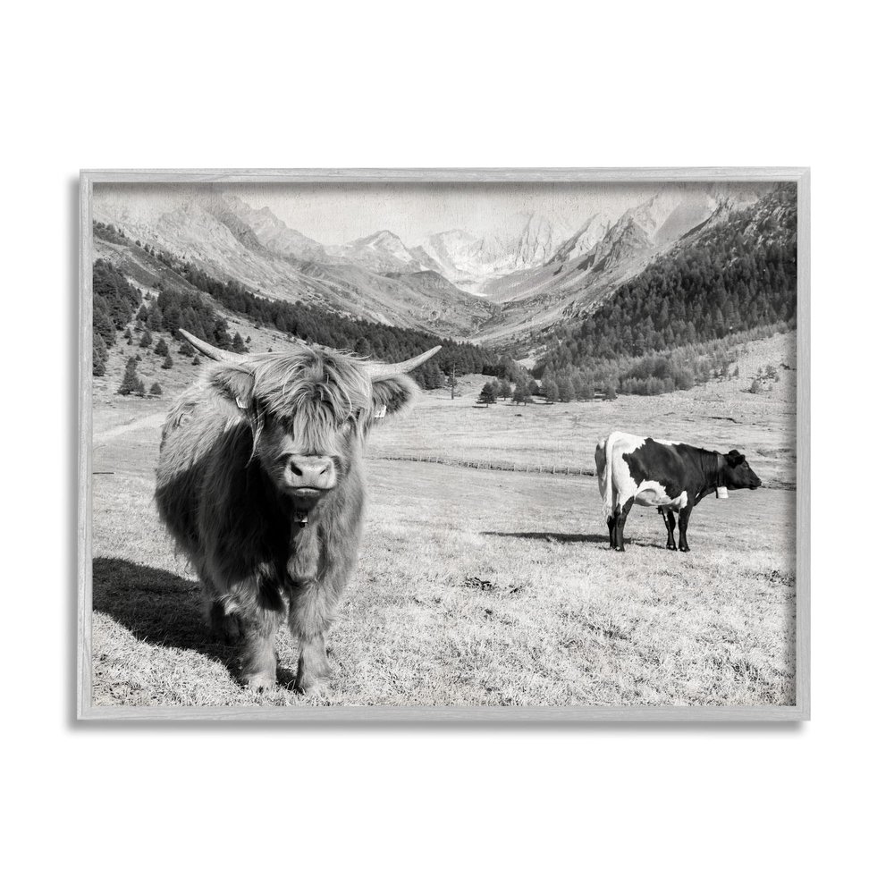 Stupell Industries Curious Ox Clueless Cow Sublime Farm Plains, Design by Danita Delimont