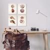 Stupell Industries Elegant Beach Seashells Exquisite Marine Life, Design by Annie Warren view 2