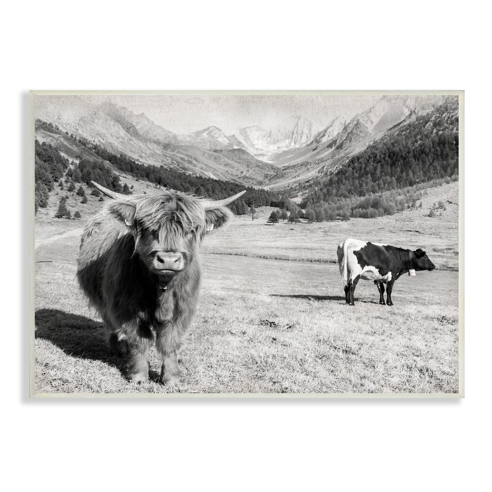 Stupell Industries Curious Ox Clueless Cow Sublime Farm Plains, Design by Danita Delimont