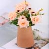 Simple Vase for Flowers Plants, Matte Vases for Modern Table Shelf Home Decor Wedding Boho Decor, 6" H Frosted Elegant Ceramic Vase for Pampas Grass Fluffy Stem Bouquet Lavender Flowers (Brown, 2) view 4