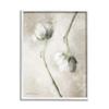 Stupell Industries White Floral Stems Botanical Vintage Rose Blossom Painting, Design by Bluebird Barn view 1