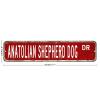 godblessign Anatolian Shepherd Dog Signs Anatolian Shepherd Dog Metal Sign Dog Custom Street Sign Anatolian Shepherd Dog Retro Wall Art Wall Hanger Metal Art Farmhouse Wall Decor Dog Owner Gift view 2