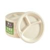 Vplus 100% Compostable Paper Plates, 125 Pack 9 Inch 3 Compartment Plates Disposable, Heavy Duty Biodegradable Plates Made of Sugar Cane Fibers, for Daily meals, Dinner, Parties, BBQ view 1