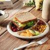 Vplus 100% Compostable Paper Plates, 125 Pack 9 Inch 3 Compartment Plates Disposable, Heavy Duty Biodegradable Plates Made of Sugar Cane Fibers, for Daily meals, Dinner, Parties, BBQ view 4