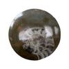 VIE Goniatite Buttons, Standard, 5-9cm view 1
