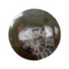 VIE Goniatite Buttons, Standard, 5-9cm view 2