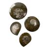 VIE Goniatite Buttons, Standard, 5-9cm view 4