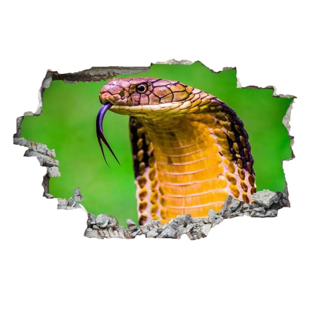 Animal Wall Decor 3D Smashed Stickers Snake Removable Art Wall Tattoo Modern Family Vinyl Wall Decals for Home Nursery Girls Kids Living Room Bedroom Decoration 30" W x 20" H