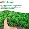 QIAOH Artificial Boxwood Panels 12PCS, Grass Wall Panels, Greenery Wall Backdrop, Green Wall Backdrop, Boxwood Hedges Wall Backdrop Outdoor Indoor Backyard view 4