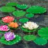 ZAUGONTW 10 Pcs Realistic Lily Pads Leaves for Ponds, Artificial Floating Foam Lotus Leaves, Water Lily Pads Artificial Foliage Pond Decor for Koi Fish Pool Patio Aquarium view 3