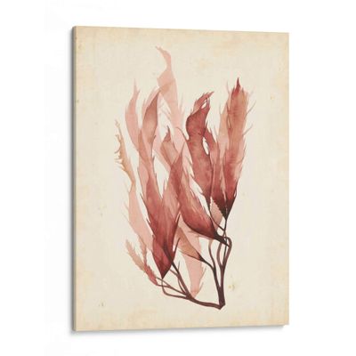 Canvas Lab | Watercolor Sea Grass IV by Grace Popp | 36 x 48 in | Canvas Print Wall Art | Coastal | Wall Decor for Bedroom, Living Room or Office