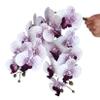 FagusHome 32 Inch Artificial Phalaenopsis Flowers 6 Pcs Artificial Orchid Flowers Stem Plants for Home Dcor (Purple Core) view 3