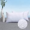 MIULEE Pack of 2 12x24 Outdoor Pillow Inserts, Outdoor Throw Pillows Water-Resistant Decorative Premium Lumbar Pillow Stuffer Sham for Porch Swing Couch Sofa Cushion Patio Furniture view 1