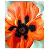 Le-Ntt-Ko Georgia O'keeffe Canvas Art Wall Decor for Bedroom Home Decorations Poster for Living Room Canvas Wall Art Paintings Pictures Home DecorRed Poppy25x30cm 10x12inch-Unframed view 1
