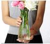 HongLianRiven Sculpture Vase Vase Grave Glass Flower Vase Handmade Crafts Hydroponic Plant Transparent Office Flower Small Flower Pot Crafts (Size : 20 * 7cm) view 3