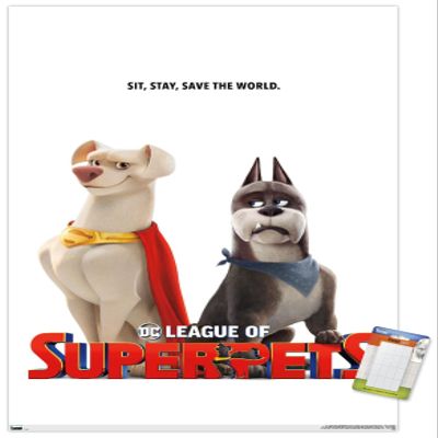 Trends International DC Comics Movie DC League of Super-Pets - Krypto and Ace Wall Poster, 14.725" x 22.375", Premium Poster & Mount Bundle