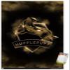 Trends International Harry Potter - Hufflepuff Crest Magic Wall Poster, 14.725" x 22.375", Premium Poster & Mount Bundle view 1