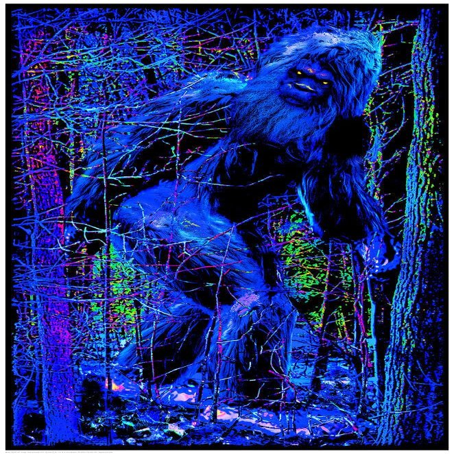 Studio B Bigfoot - Non-Flocked - Blacklight Poster - 24" x 36"