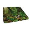 Landscape Square Table Cove, Rainforest Trees and Fresh Grass in Jungle Wildlife Nature Tropical Photo, Elastic Edge, Can Wipe Indoor/Outdoor Dining Table Cover, 44"x44" Green Brown view 1