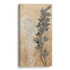 Canvas Lab | Contrary I by Megan Meagher | 8 x 16 in | Canvas Print Wall Art | Botanical, Nature | Wall Decor for Bedroom, Living Room or Office view 1