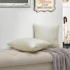 BYTIDE Dots Embroidery Silk Decorative Square Throw Pillow Covers 17 x 17 Inches Pack of 2, Luxury Soft Cushion Case Pillowcase for Couch Bed Car Bedroom Living Room, Beige view 2