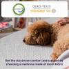 NapQueen Twin Mattress, 14 Inch Elizabeth Cooling Gel Memory Foam Mattress, Twin Bed Mattress in a Box, CertiPUR-US Certified, Medium Firm, Breathable Soft Fabric Cover view 4